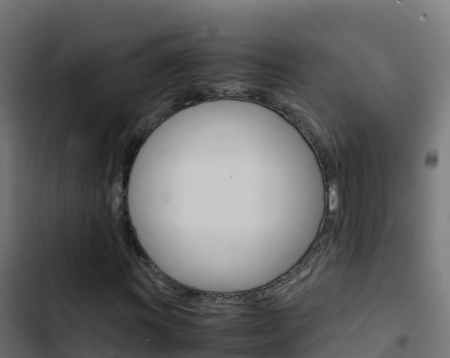 X0000103451011200809121120