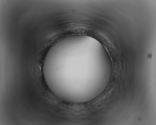 X0000103451013200809121120