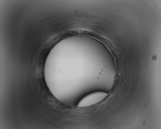X0000103451014200809121120