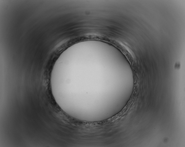 X0000103451015200809121120