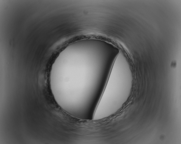 X0000103451016200809121120