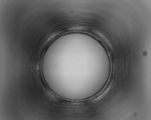 X0000103451017200809121120