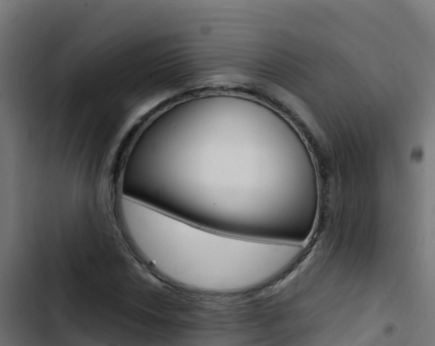 X0000103451018200809121120