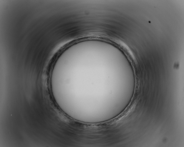 X0000103451019200809121120