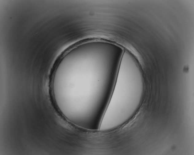 X0000103451020200809121120