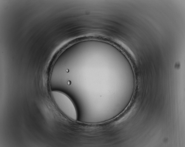 X0000103451021200809121120