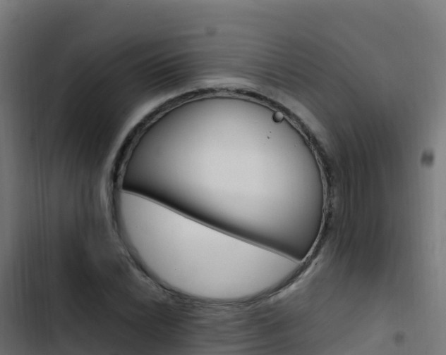 X0000103451022200809121120