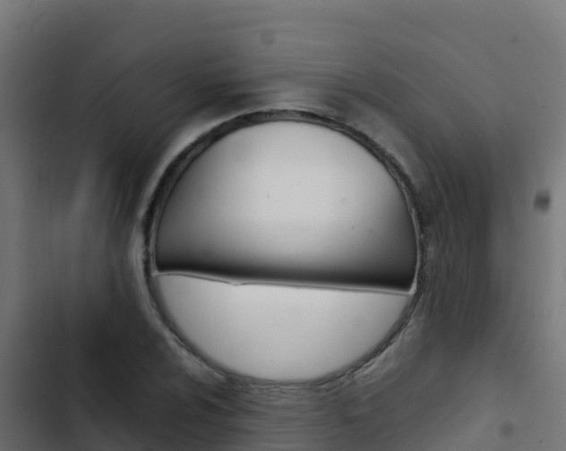 X0000103451024200809121120