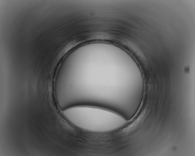 X0000103451025200809121120