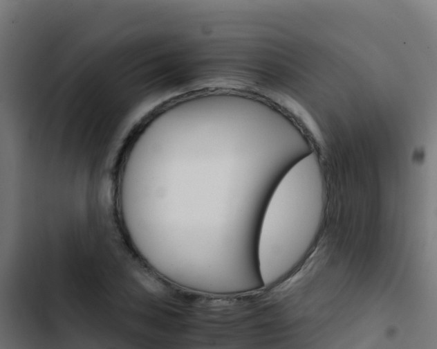 X0000103451027200809121120