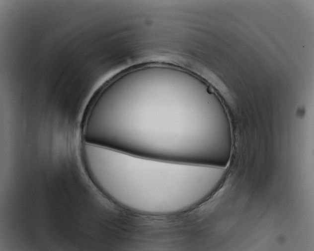 X0000103451028200809121120