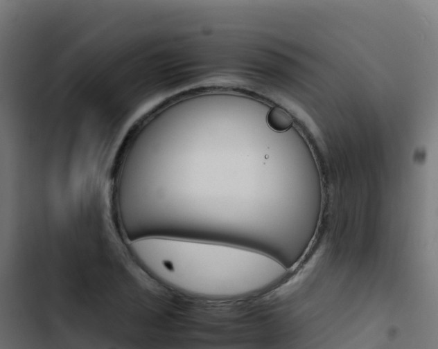 X0000103451029200809121120