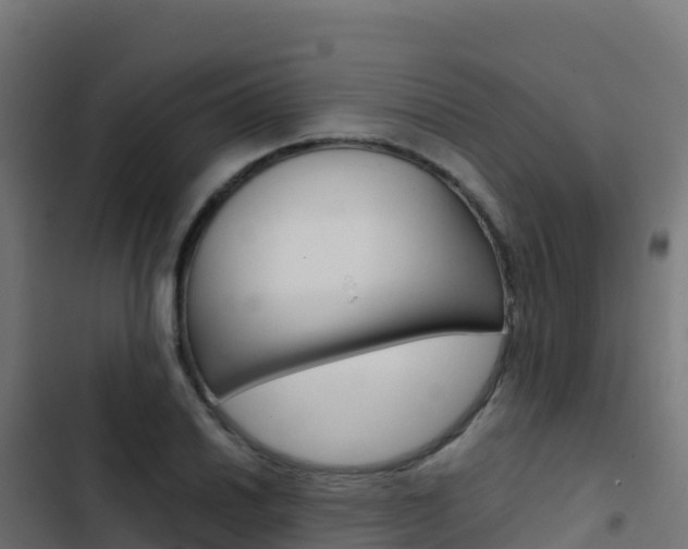 X0000103451030200809121120