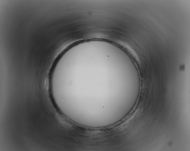 X0000103451031200809121120