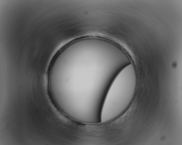 X0000103451032200809121120