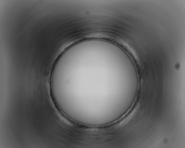 X0000103451033200809121120