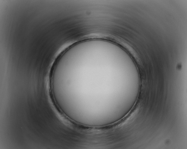 X0000103451034200809121121