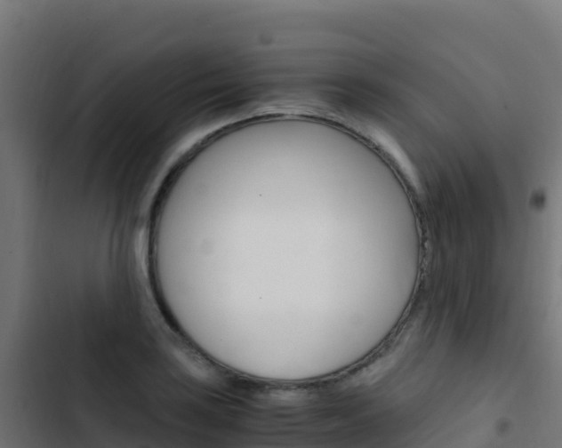 X0000103451035200809121121