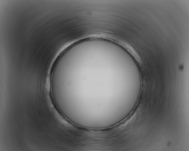 X0000103451036200809121121