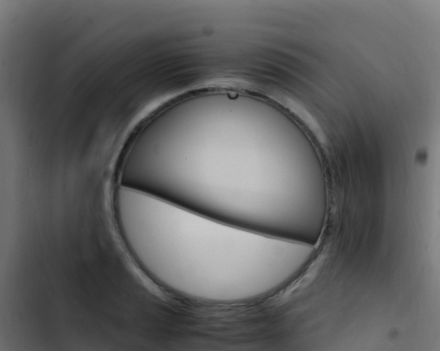X0000103451037200809121121
