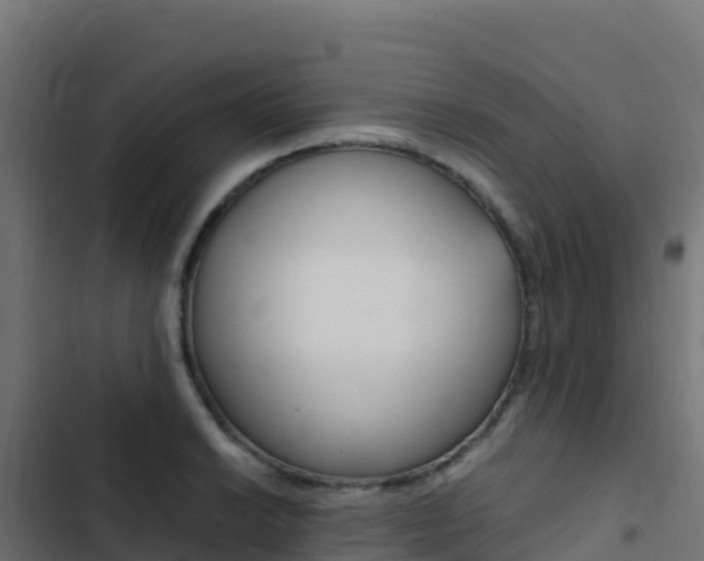 X0000103451038200809121121