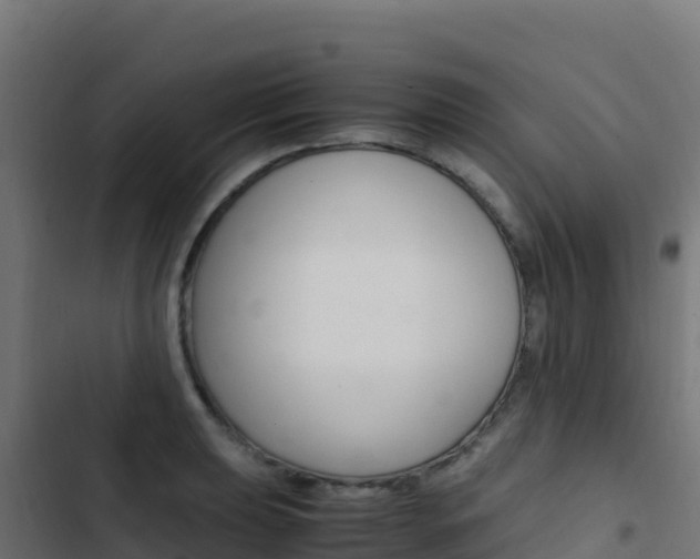 X0000103451039200809121121