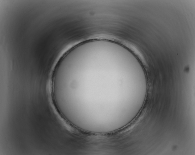 X0000103451040200809121121