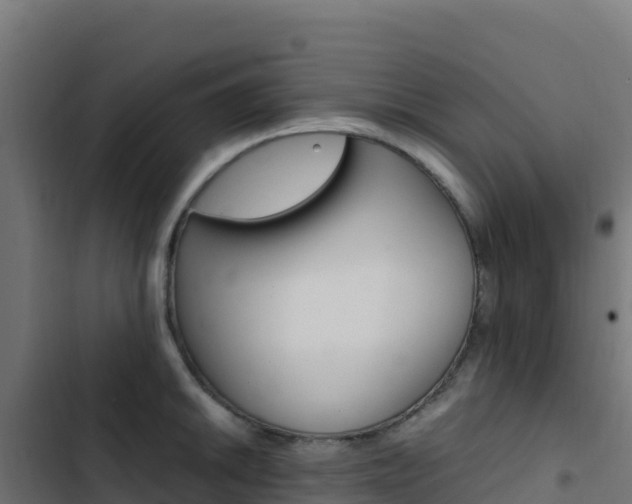 X0000103451046200809121121
