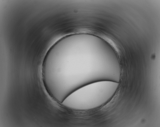 X0000103451047200809121121