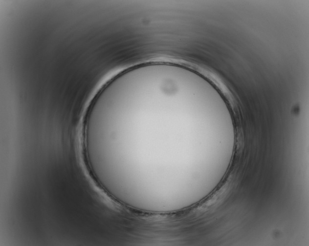 X0000103451048200809121121