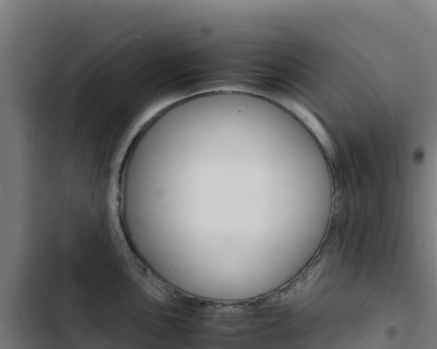 X0000103451051200809121121