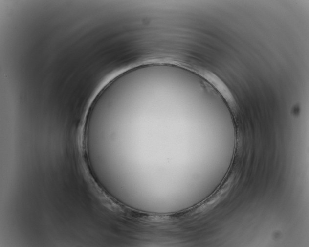 X0000103451052200809121121