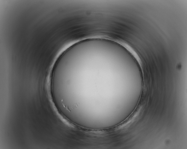 X0000103451053200809121121