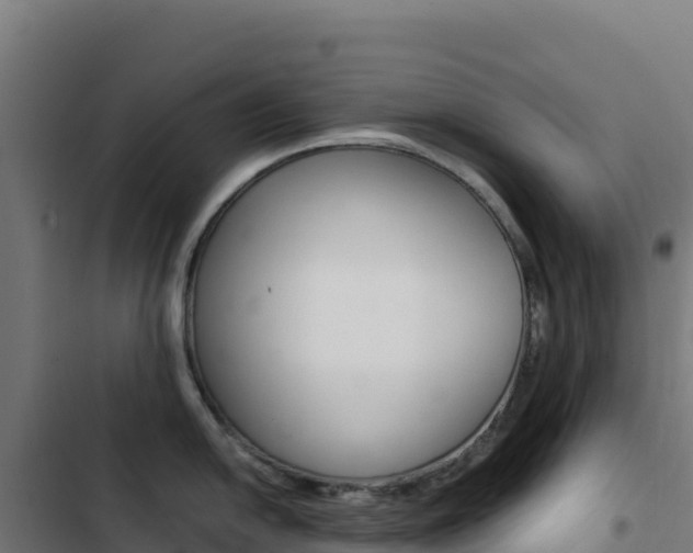 X0000103451054200809121121