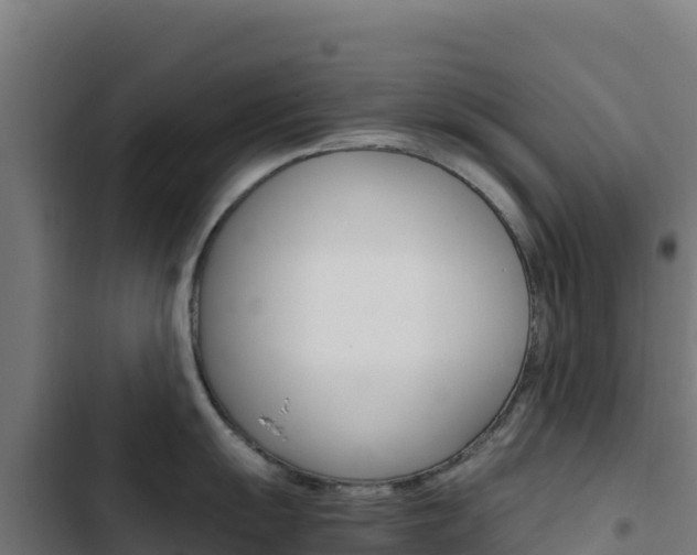 X0000103451055200809121121