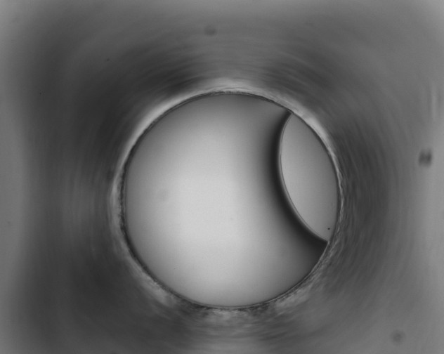 X0000103451056200809121121