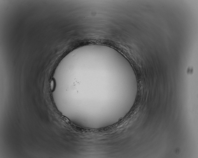 X0000103451057200809121120