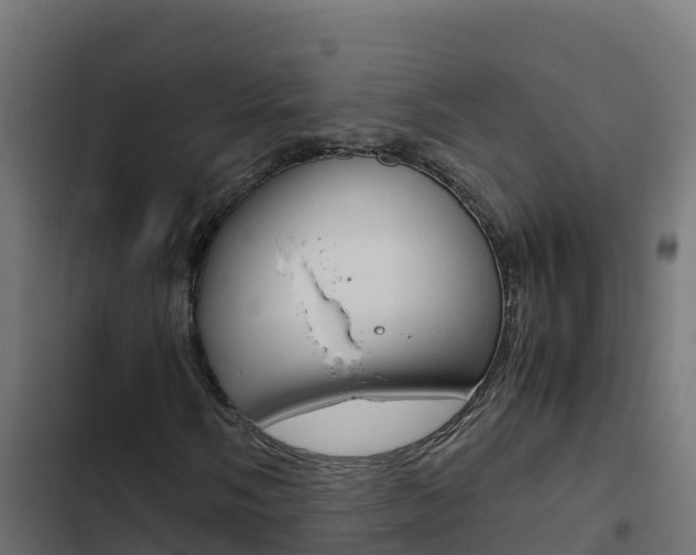 X0000103451058200809121120
