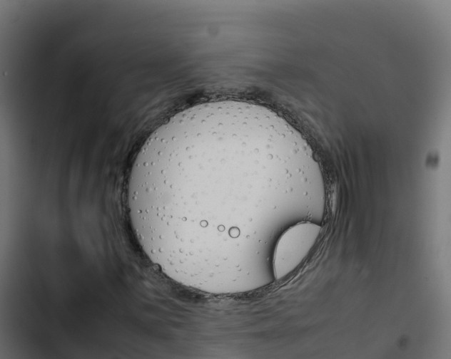 X0000103451059200809121120