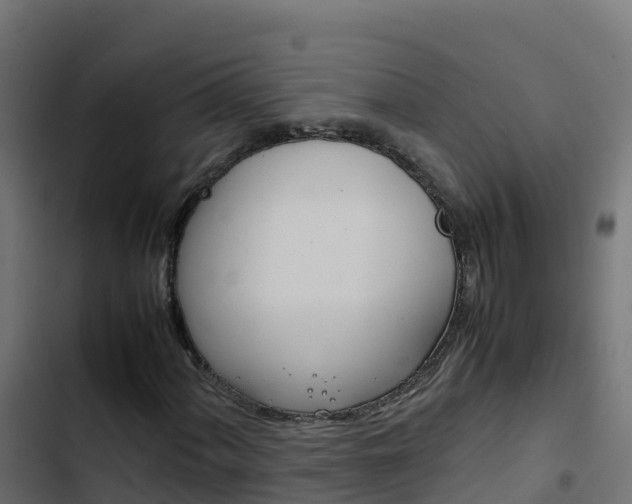 X0000103451060200809121120