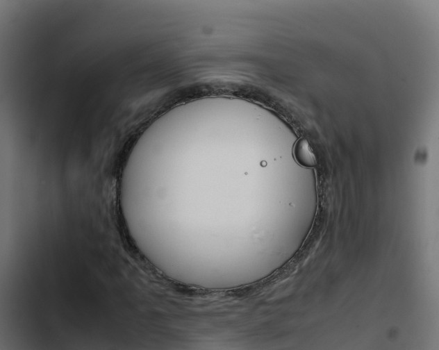 X0000103451061200809121120