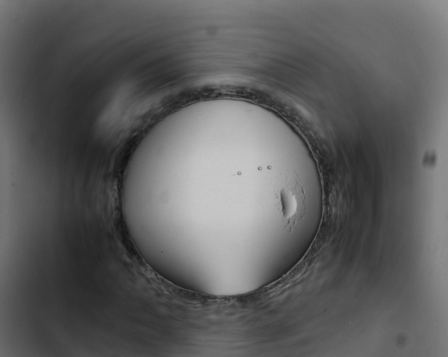 X0000103451062200809121120