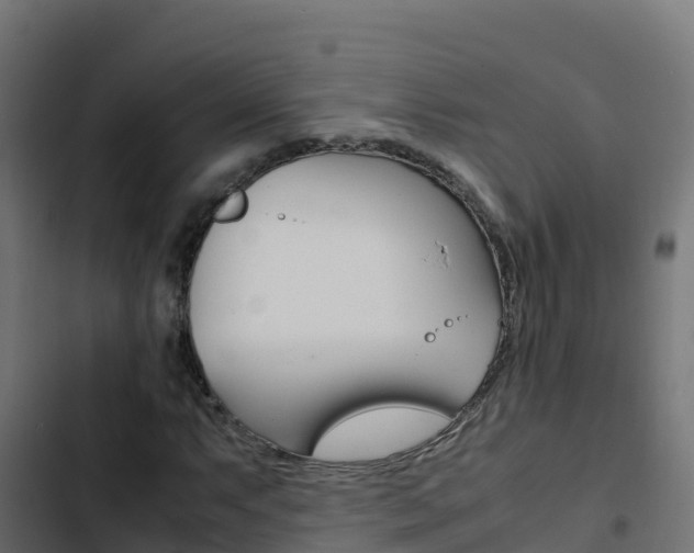 X0000103451063200809121120
