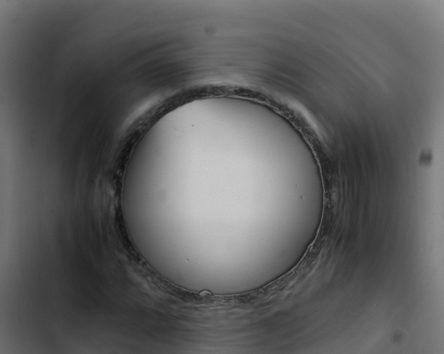 X0000103451064200809121120