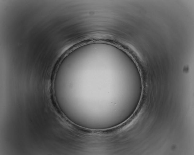 X0000103451065200809121120