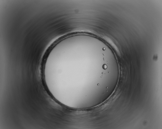 X0000103451068200809121120
