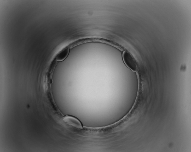 X0000103451069200809121120