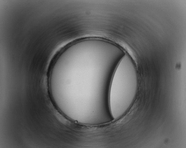 X0000103451072200809121120