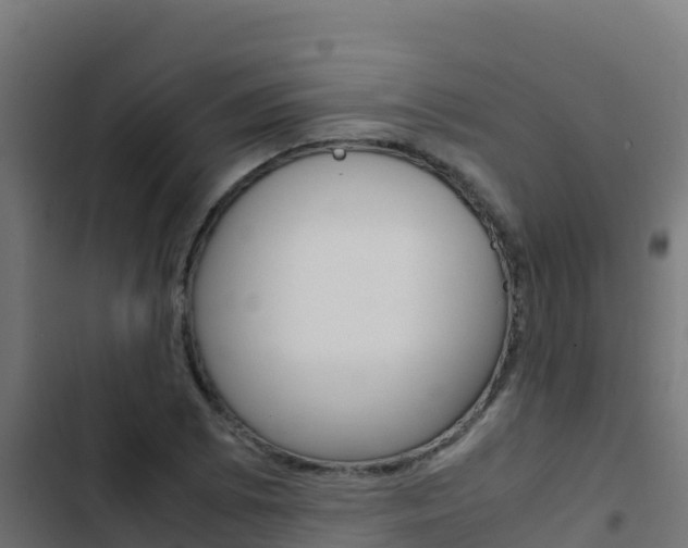 X0000103451073200809121120