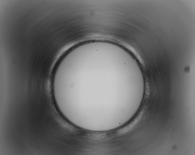 X0000103451074200809121120